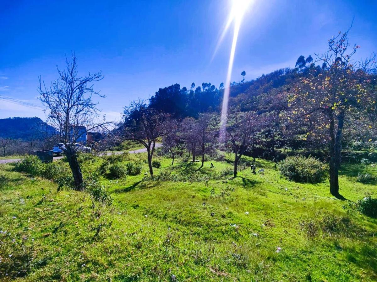 Salora Kodai Kodaikanal Buitenkant foto