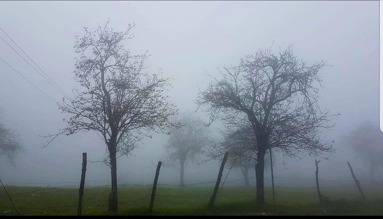 Salora Kodai Kodaikanal Buitenkant foto